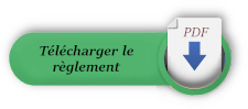 bouton download
